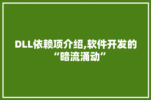 DLL依赖项介绍,软件开发的“暗流涌动”