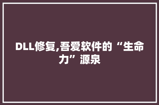 DLL修复,吾爱软件的“生命力”源泉 GoogleSEO