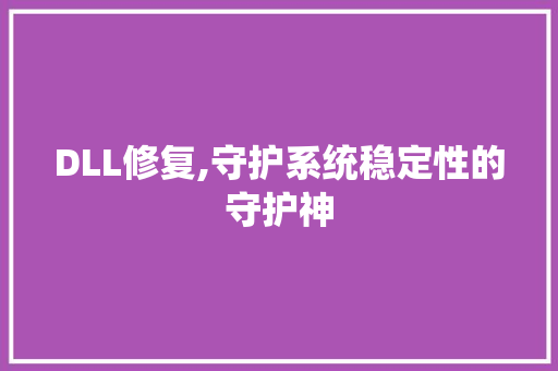 DLL修复,守护系统稳定性的守护神 GoogleSEO