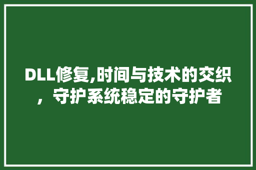 DLL修复,时间与技术的交织，守护系统稳定的守护者 百度SEO