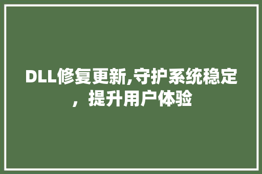 DLL修复更新,守护系统稳定，提升用户体验 神马SEO
