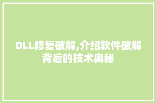 DLL修复破解,介绍软件破解背后的技术奥秘 必应SEO