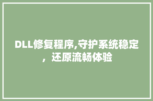 DLL修复程序,守护系统稳定，还原流畅体验 必应SEO