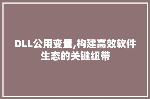 DLL公用变量,构建高效软件生态的关键纽带 百度SEO