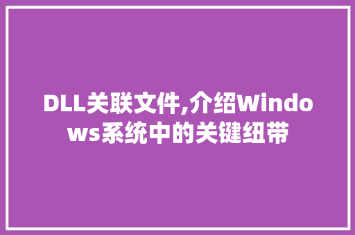 DLL关联文件,介绍Windows系统中的关键纽带 必应SEO