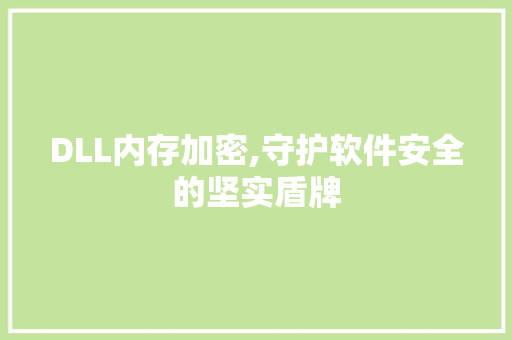 DLL内存加密,守护软件安全的坚实盾牌 神马SEO
