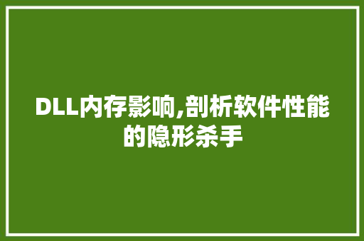 DLL内存影响,剖析软件性能的隐形杀手 神马SEO
