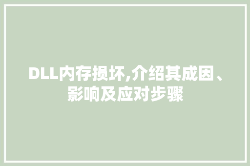 DLL内存损坏,介绍其成因、影响及应对步骤 必应SEO