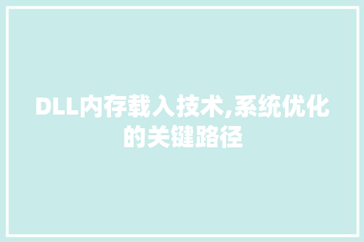 DLL内存载入技术,系统优化的关键路径 百度SEO