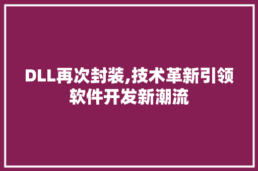 DLL再次封装,技术革新引领软件开发新潮流 GoogleSEO