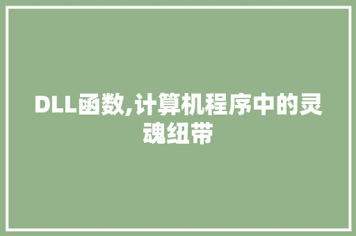 DLL函数,计算机程序中的灵魂纽带 神马SEO