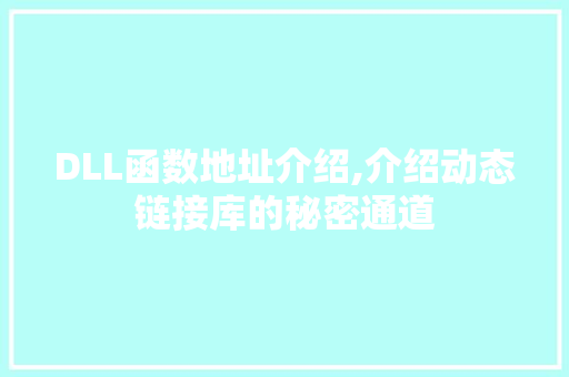 DLL函数地址介绍,介绍动态链接库的秘密通道 必应SEO