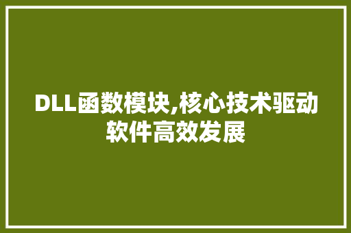 DLL函数模块,核心技术驱动软件高效发展