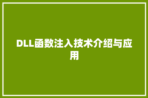 DLL函数注入技术介绍与应用 必应SEO