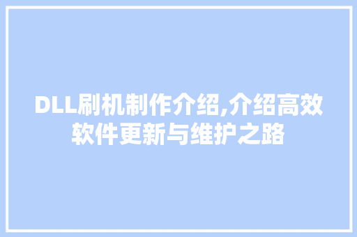 DLL刷机制作介绍,介绍高效软件更新与维护之路 百度SEO