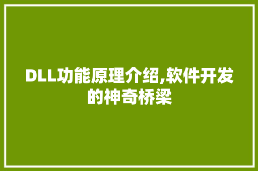 DLL功能原理介绍,软件开发的神奇桥梁 神马SEO