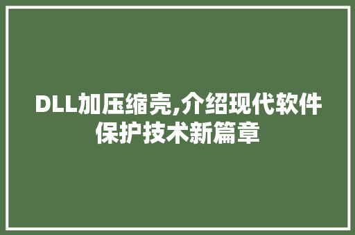 DLL加压缩壳,介绍现代软件保护技术新篇章 百度SEO