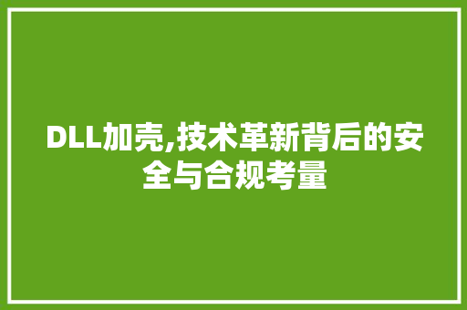 DLL加壳,技术革新背后的安全与合规考量 搜狗SEO