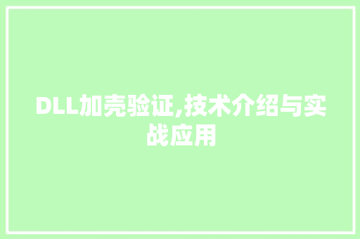 DLL加壳验证,技术介绍与实战应用 必应SEO