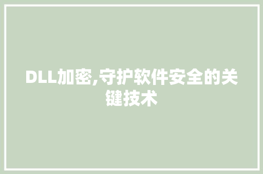 DLL加密,守护软件安全的关键技术 必应SEO