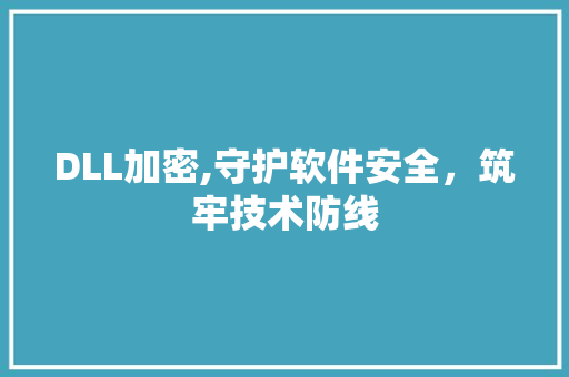 DLL加密,守护软件安全，筑牢技术防线 GoogleSEO