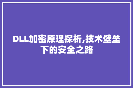 DLL加密原理探析,技术壁垒下的安全之路 必应SEO