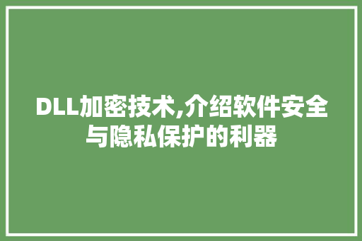 DLL加密技术,介绍软件安全与隐私保护的利器