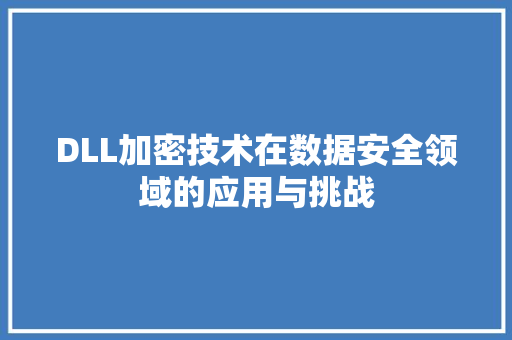 DLL加密技术在数据安全领域的应用与挑战 GoogleSEO