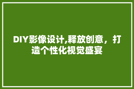 DIY影像设计,释放创意，打造个性化视觉盛宴 百度SEO