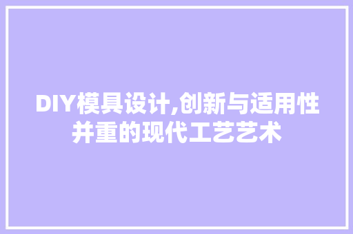DIY模具设计,创新与适用性并重的现代工艺艺术 神马SEO