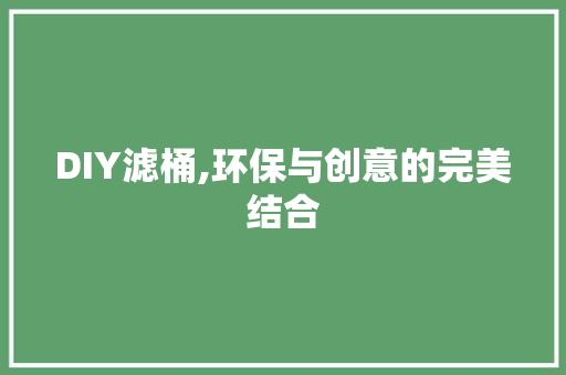 DIY滤桶,环保与创意的完美结合 GoogleSEO