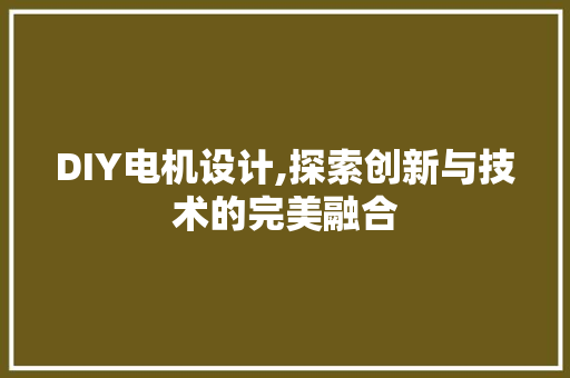 DIY电机设计,探索创新与技术的完美融合 必应SEO