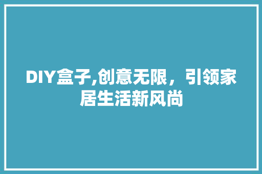 DIY盒子,创意无限，引领家居生活新风尚 必应SEO