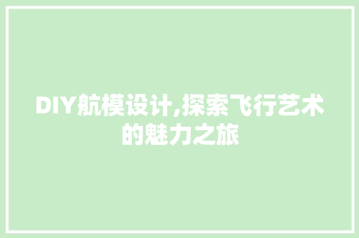 DIY航模设计,探索飞行艺术的魅力之旅 百度SEO