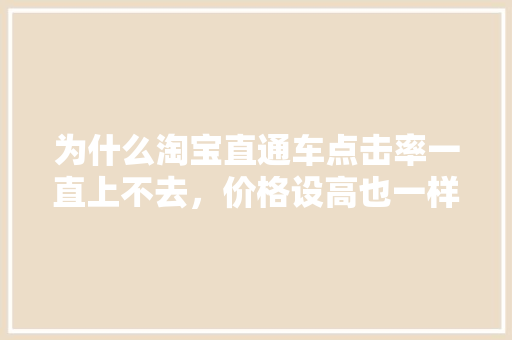 为什么淘宝直通车点击率一直上不去，价格设高也一样「淘宝排名为什么上不去了」 为什么淘宝直通车点击率一直上不去，价格设高也一样「淘宝排名为什么上不去了」 神马SEO