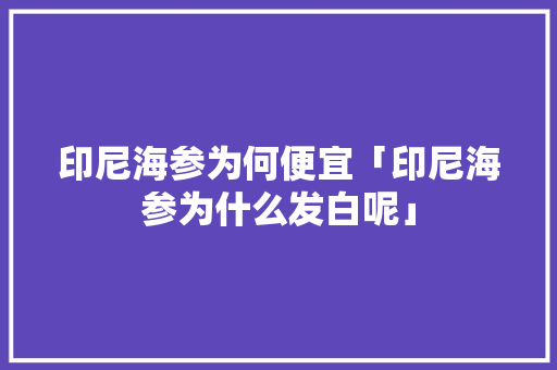 印尼海参为何便宜「印尼海参为什么发白呢」 印尼海参为何便宜「印尼海参为什么发白呢」 必应SEO