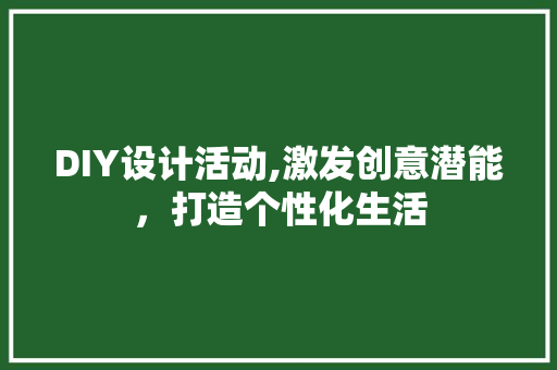 DIY设计活动,激发创意潜能，打造个性化生活 百度SEO