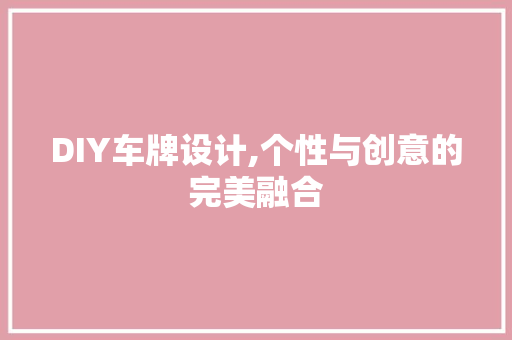 DIY车牌设计,个性与创意的完美融合 搜狗SEO