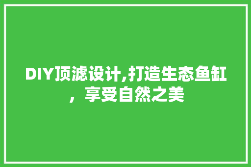 DIY顶滤设计,打造生态鱼缸，享受自然之美 GoogleSEO