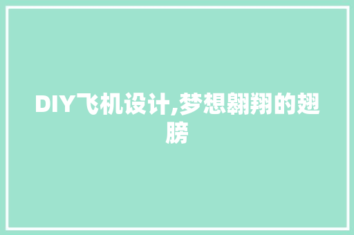 DIY飞机设计,梦想翱翔的翅膀 必应SEO