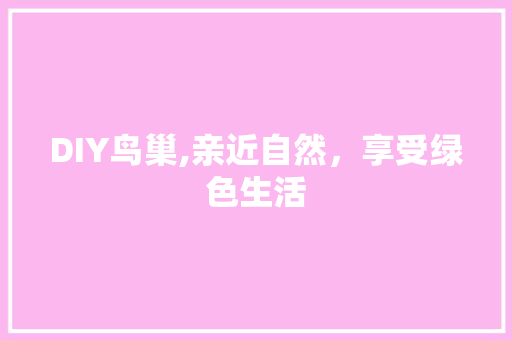 DIY鸟巢,亲近自然，享受绿色生活 必应SEO