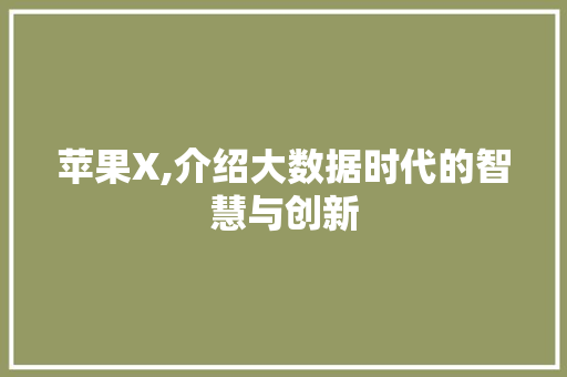 苹果X,介绍大数据时代的智慧与创新 必应SEO