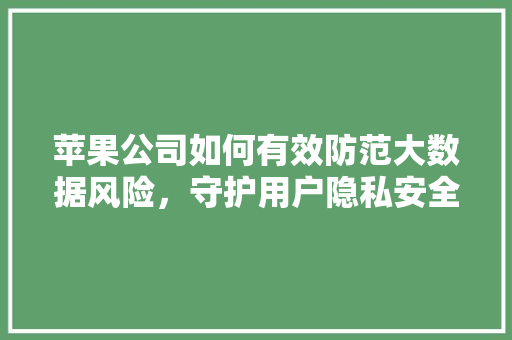 苹果公司如何有效防范大数据风险，守护用户隐私安全 GoogleSEO