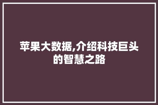 苹果大数据,介绍科技巨头的智慧之路 百度SEO