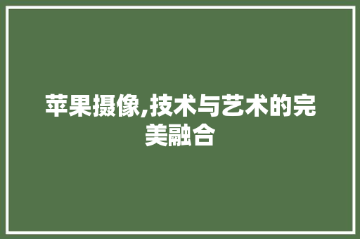 苹果摄像,技术与艺术的完美融合 百度SEO