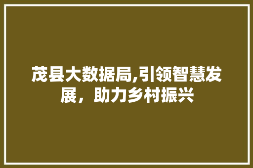 茂县大数据局,引领智慧发展，助力乡村振兴 百度SEO