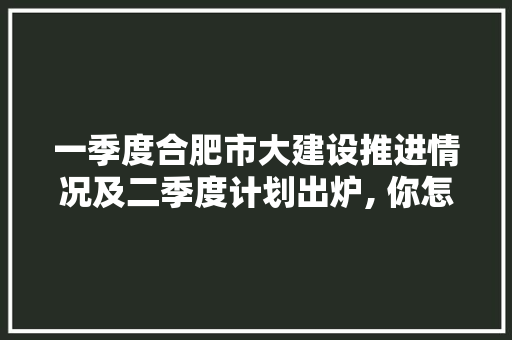 一季度合肥市大建设推进情况及二季度计划出炉, 你怎么看「合肥为什么发展快」 一季度合肥市大建设推进情况及二季度计划出炉, 你怎么看「合肥为什么发展快」 搜狗SEO