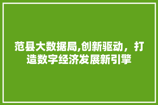 范县大数据局,创新驱动，打造数字经济发展新引擎 搜狗SEO