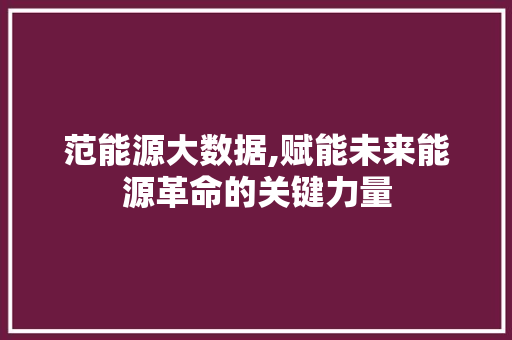 范能源大数据,赋能未来能源革命的关键力量 百度SEO