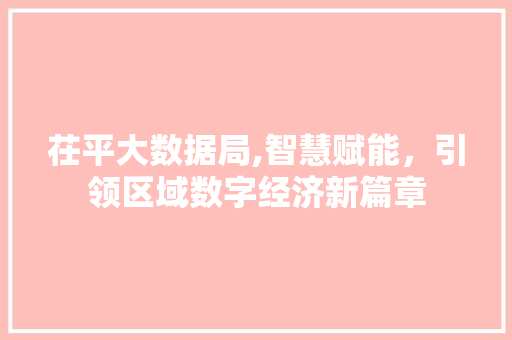 茌平大数据局,智慧赋能，引领区域数字经济新篇章 必应SEO